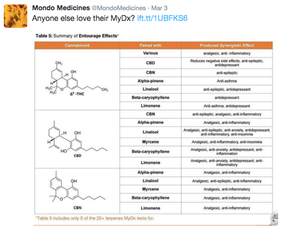 Mondo Medicines - Entourage Effect - MyDx - Review - Reviews
