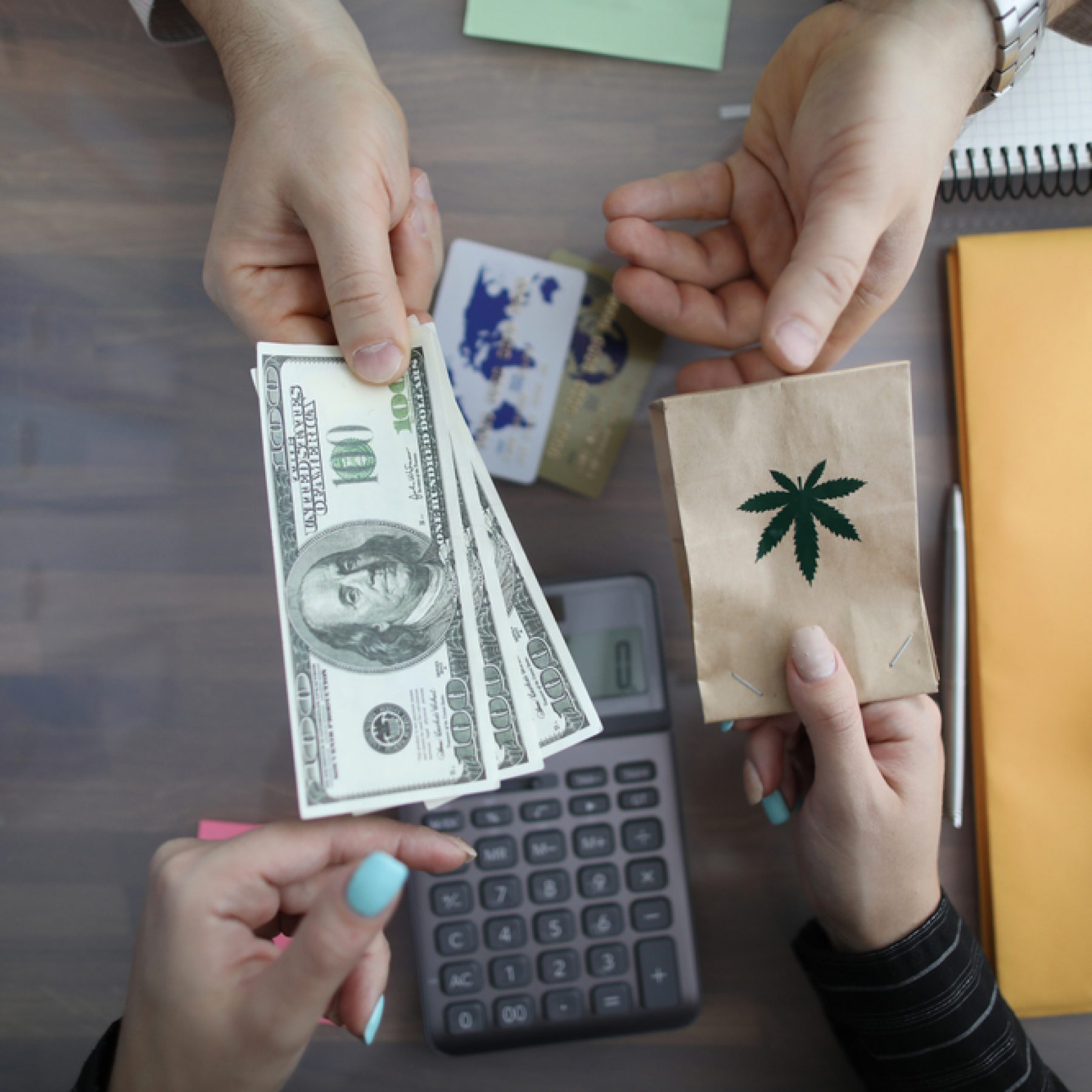 10 Things You Must Know Before Buying Quinnfinite Joi - h4h6njm