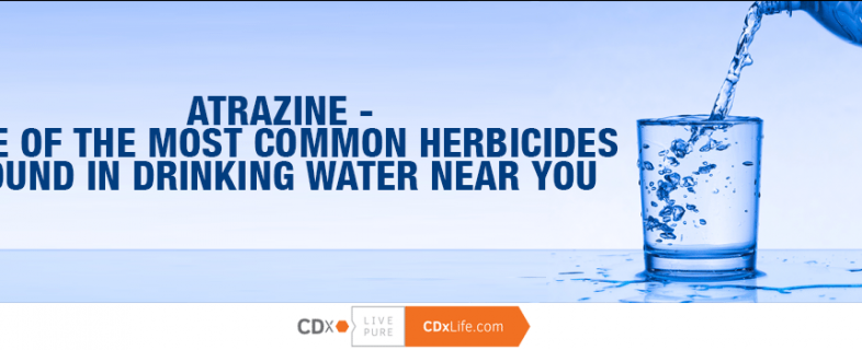 Atrazine – One of the Most Common Herbicides Found in Drinking Water Near You