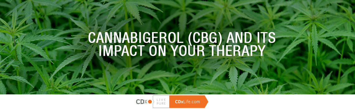 Cannabigerol (CBG) and Its Impact on Your Therapy