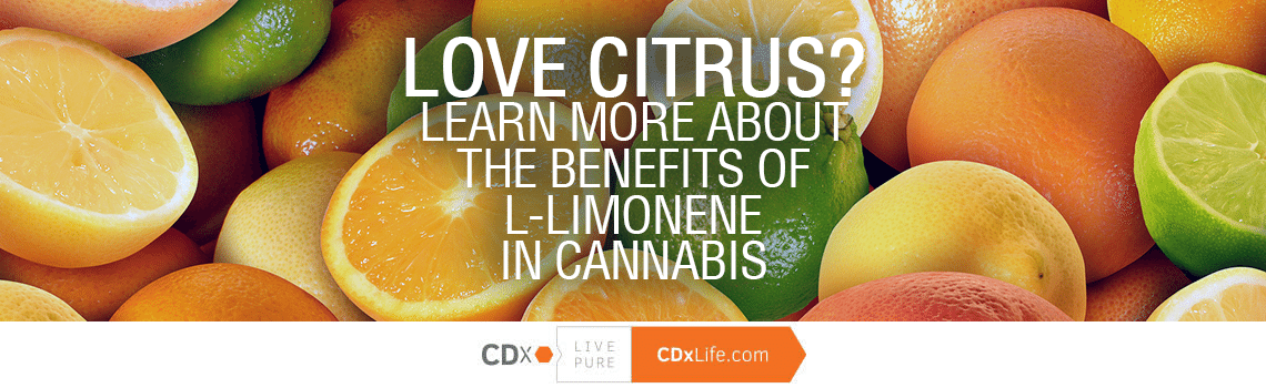 Love Citrus?