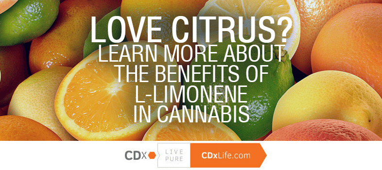 Love Citrus?