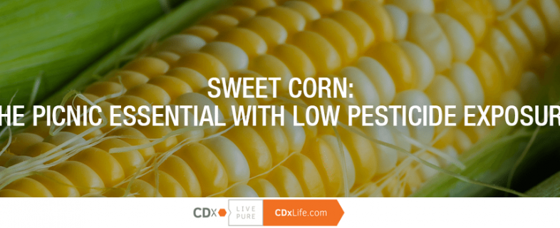 Sweet Corn: The Picnic Essential with Low Pesticide Exposure