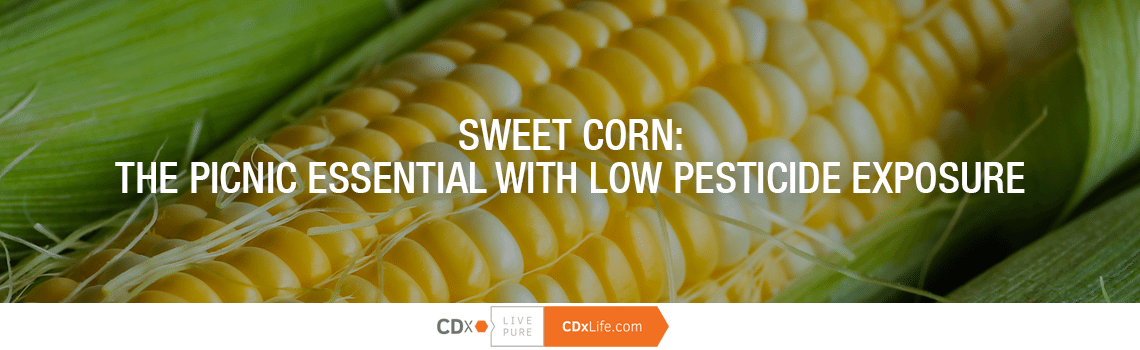 Sweet Corn: The Picnic Essential with Low Pesticide Exposure
