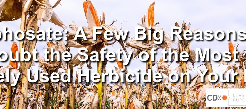Glyphosate: A Few Big Reasons to Doubt the Safety