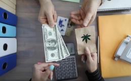 Three Things You Must Know Before Buying Cannabis